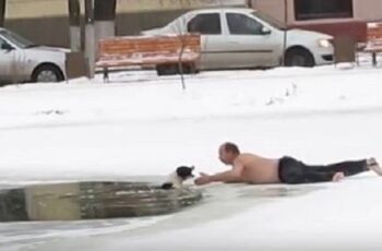 Brave Man Runs Onto Icy Pond With No Shoes Or Shirt To Save Drowning Dog