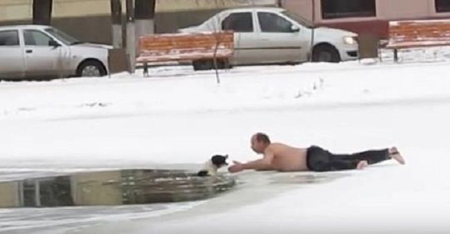 Brave Man Runs Onto Icy Pond With No Shoes Or Shirt To Save Drowning Dog