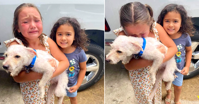 Little Girl Can’t Stop Crying Tears Of joy, When Her Lost Dog Is Finally Found