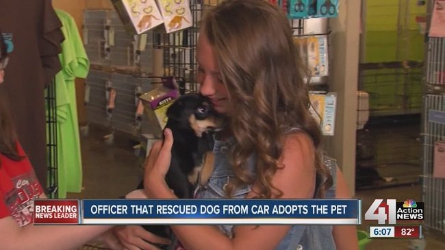 Puppy Left To D.i.e In 140 Degree Car Goes Home With Police Officer Who Rescued Him