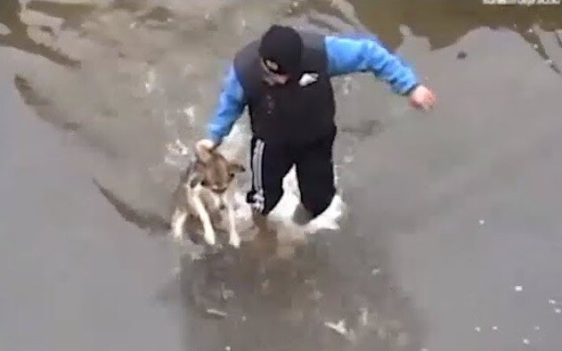 Scared Dog Trapped In River Shows His Gratitude To Rescuers