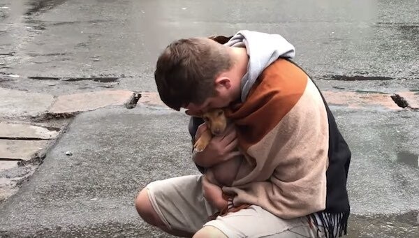 Stray Puppy Wags Her Tail At Every Passerby Trying To Get Someone To Notice Her