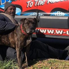 Homeless Man Walks Inside Burning Animal Shelter To Save All 16 Animals