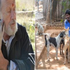 Man Gave Up Retirement Plan and Start An Animal Shelter in India