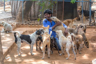 Man Gave Up Retirement Plan and Start An Animal Shelter in India