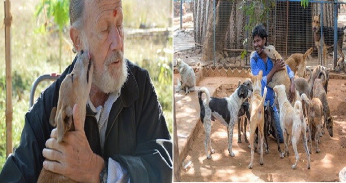 Man Gave Up Retirement Plan and Start An Animal Shelter in India