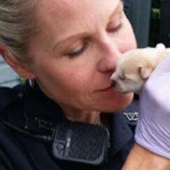 Police Find Mother Dog Trying To Free Puppy Thrown Into Trash Bin